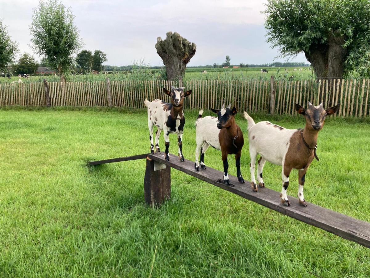 De Burkelhoeve App.B Maldegem Exteriör bild
